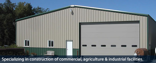 Read more about the article Steel Building Factory Shed